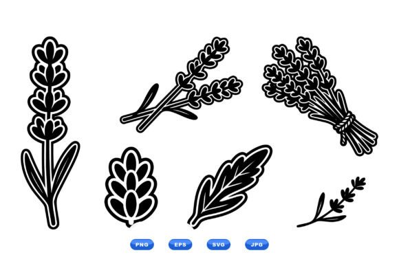 Lavender Botanical SVG Clipart: A Designer's Review