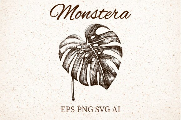 Review: Monstera Leaf Clipart for Embroidery Projects